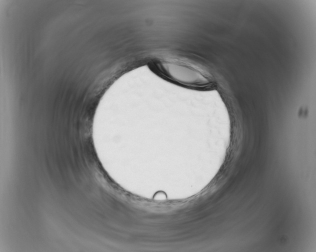 X0000112500048200909281208