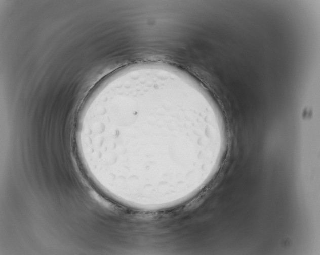 X0000112500049200909281207