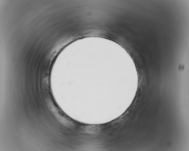 X0000112500050200909281207