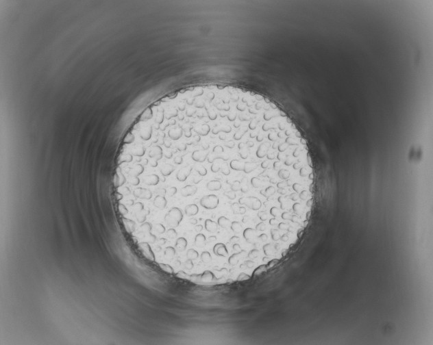 X0000112500051200909281207