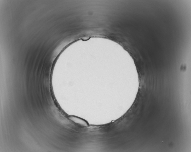 X0000112500052200909281207