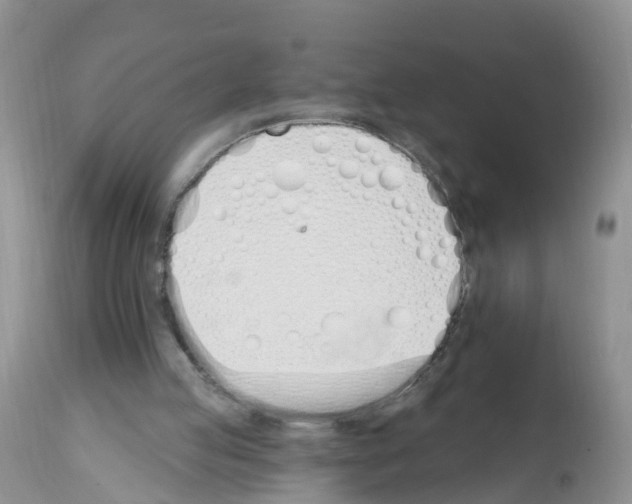 X0000112500053200909281207