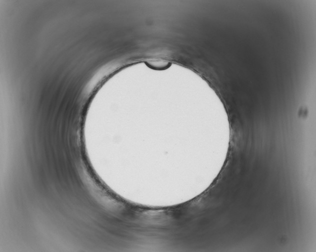 X0000112500054200909281207