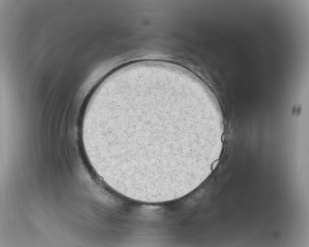 X0000112500055200909281207