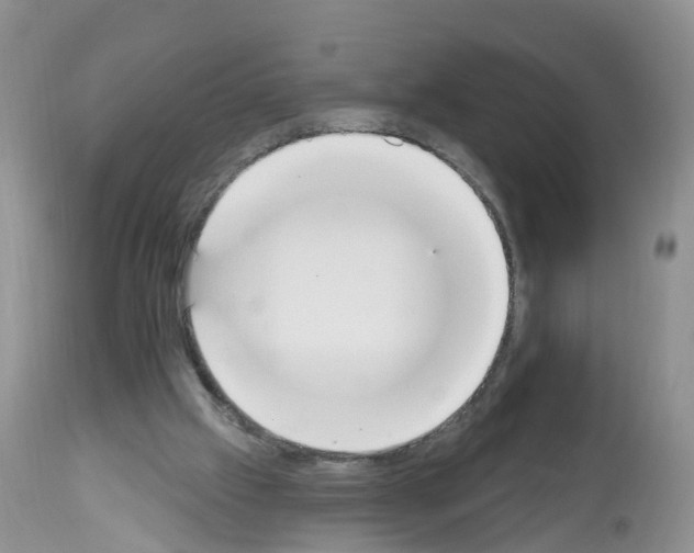 X0000112500057200909281207