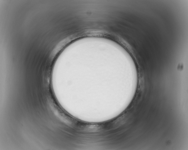 X0000112500059200909281207