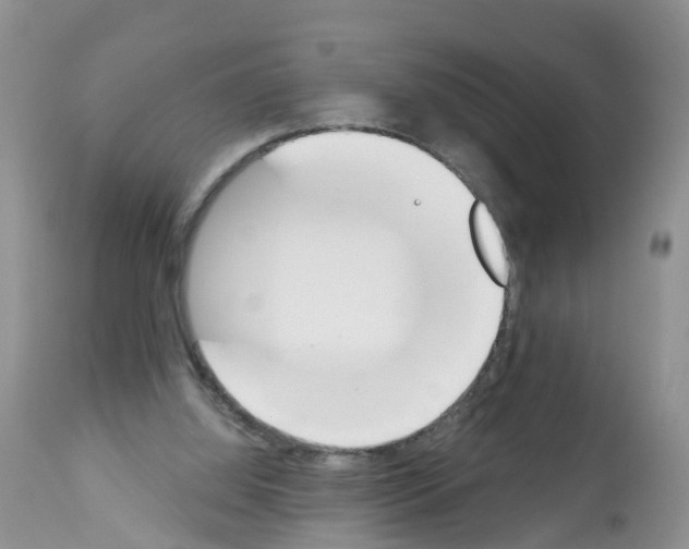 X0000112500060200909281207