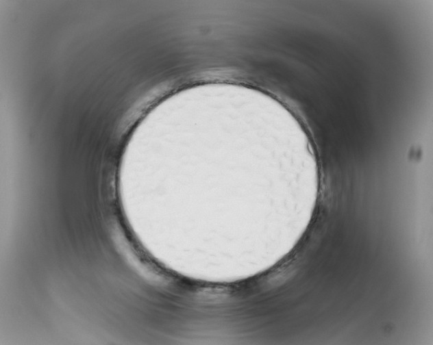 X0000112500061200909281207