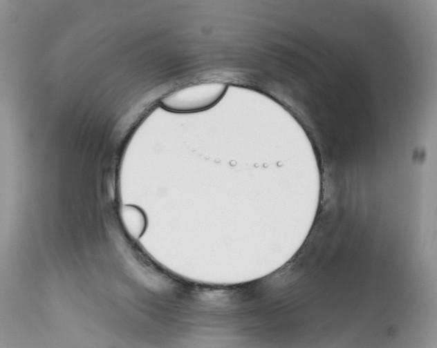 X0000112500062200909281207