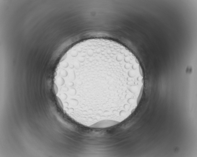 X0000112500063200909281207