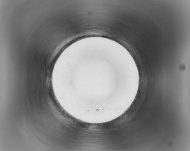 X0000112500064200909281207