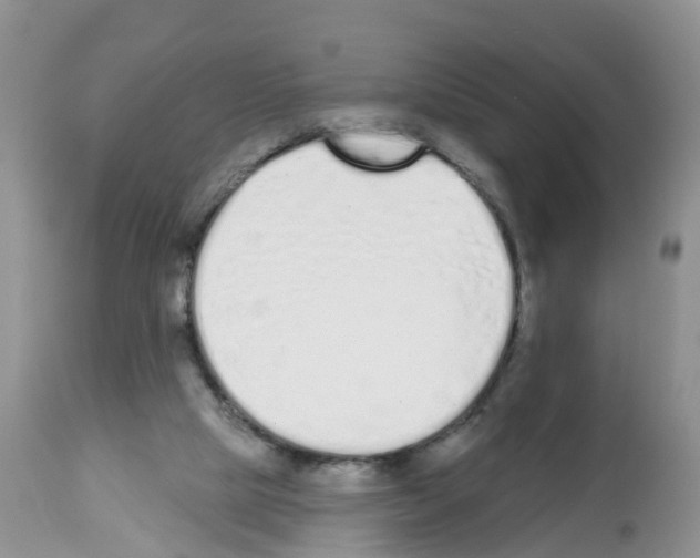 X0000112500065200909281207