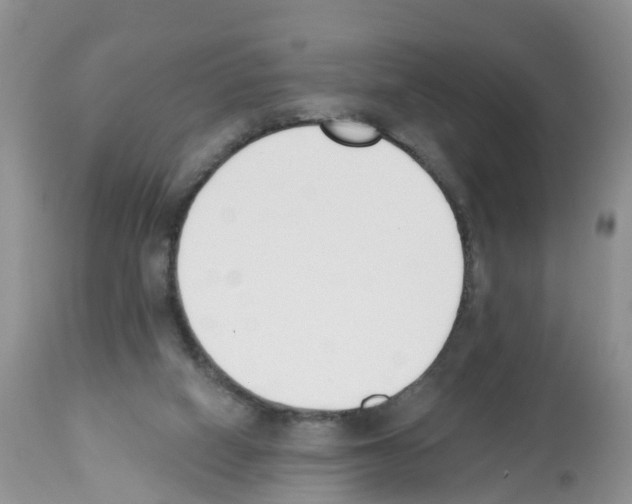 X0000112500066200909281207