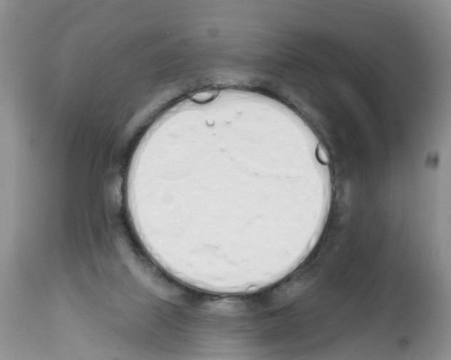 X0000112500067200909281207