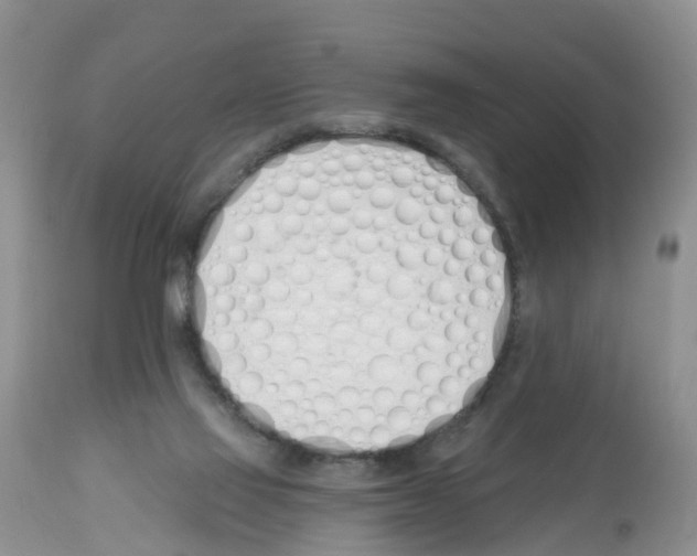 X0000112500069200909281207