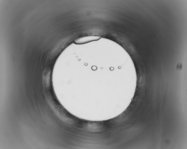 X0000112500070200909281207