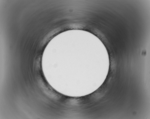 X0000112500071200909281207