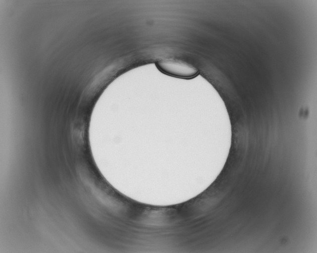 X0000112500072200909281207