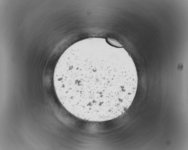 X0000112500074200909281207