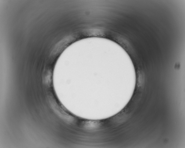 X0000112500077200909281207