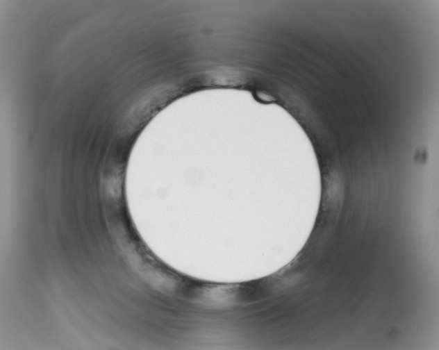 X0000112500078200909281207