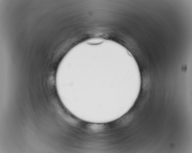 X0000112500085200909281207