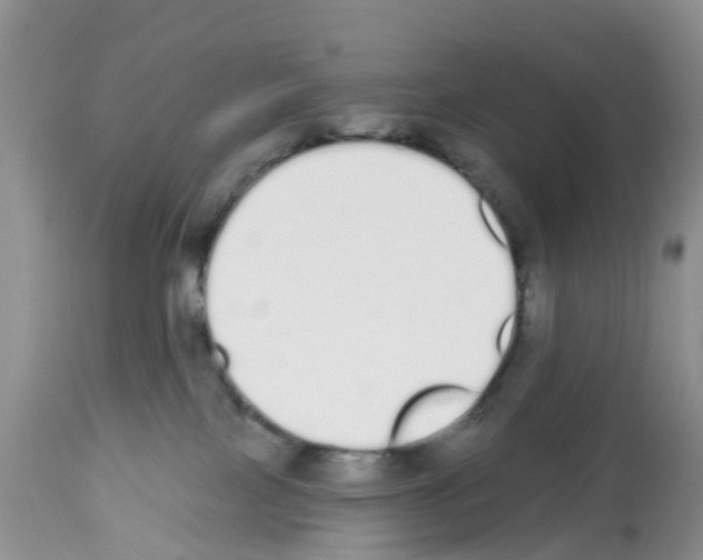 X0000112500089200909281207