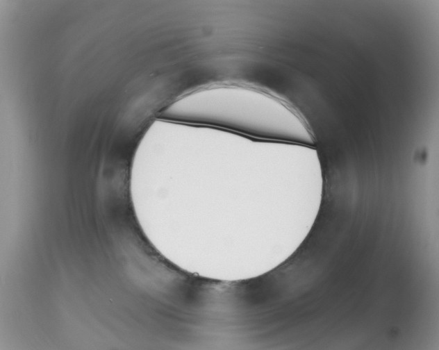 X0000112500092200909281207