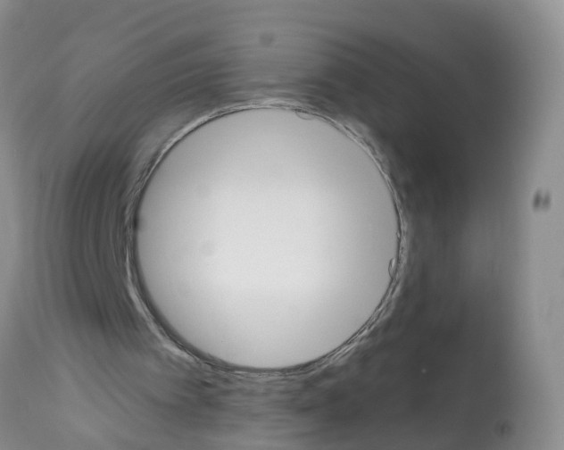 X0000112500097200909281207