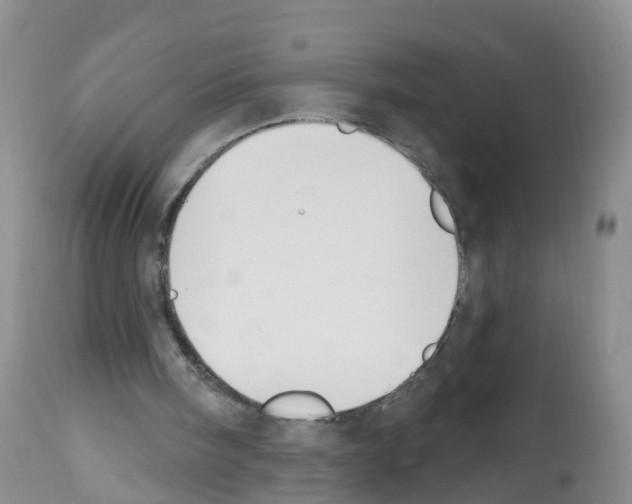 X0000112500098200909281207