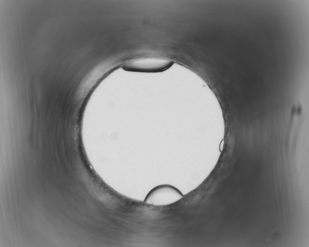 X0000112500103200909281207