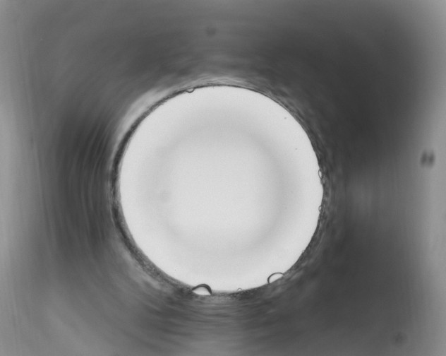 X0000112500104200909281207