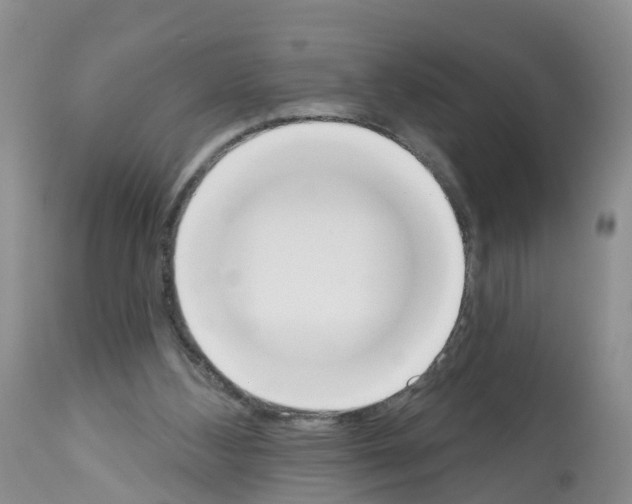 X0000112500108200909281207