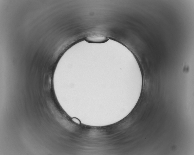 X0000112500109200909281207