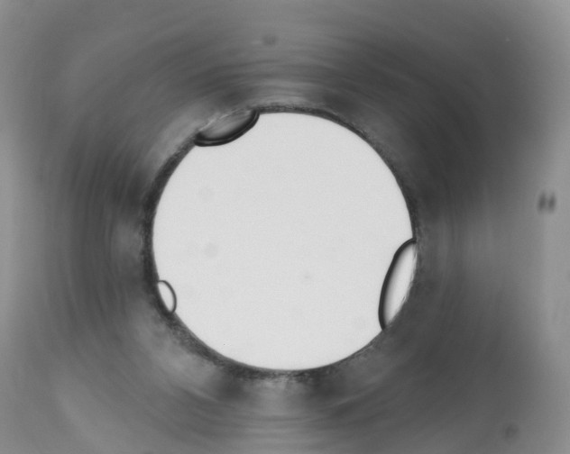 X0000112500112200909281207