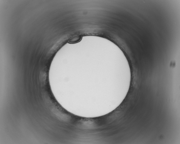 X0000112500113200909281207