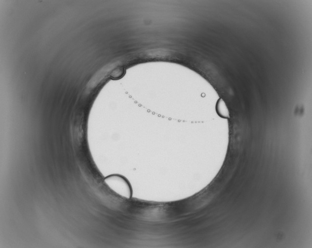 X0000112500116200909281207