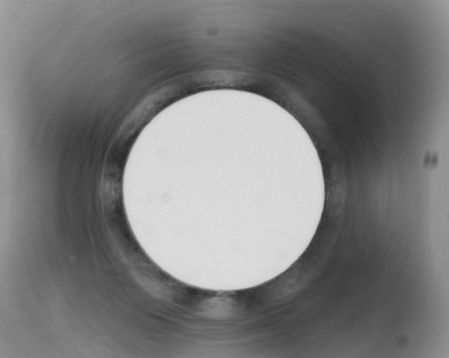 X0000112500119200909281207