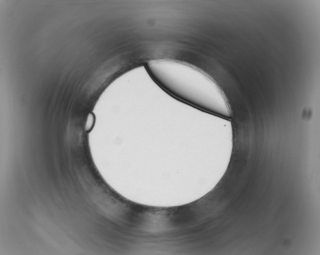 X0000112500120200909281206