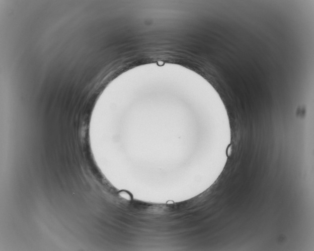 X0000112500124200909281206