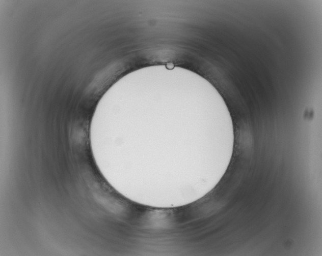 X0000112500126200909281206