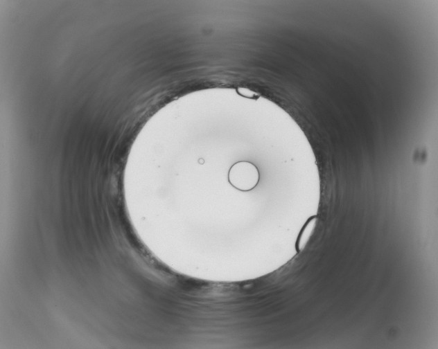 X0000112500128200909281206