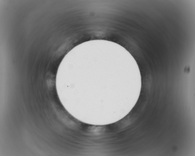 X0000112500135200909281206