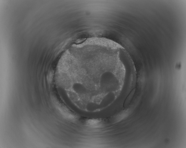 X0000112500139200909281206