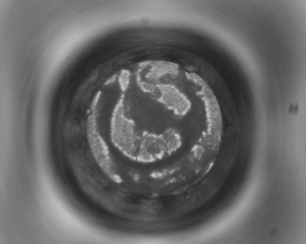 X0000112500143200909281206