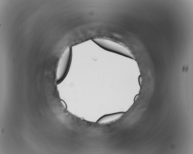 X0000112500144200909281206