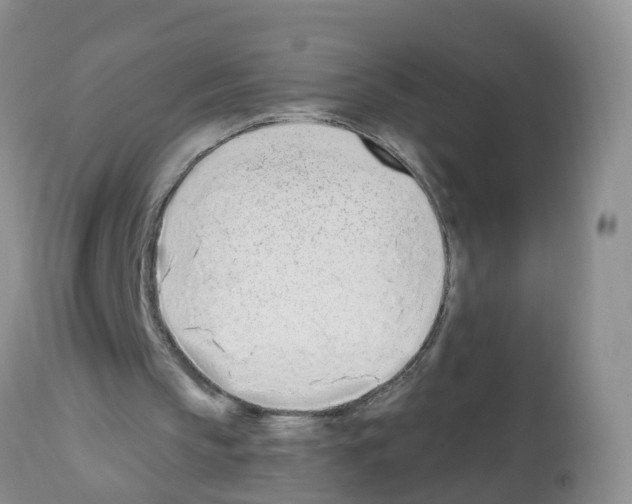 X0000112500145200909281206