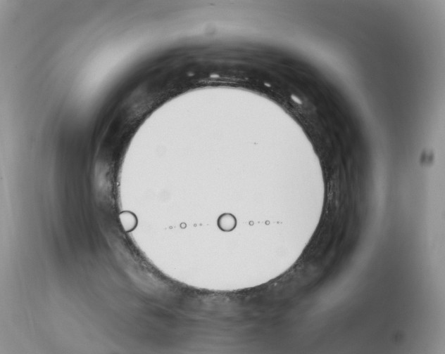 X0000112500146200909281206