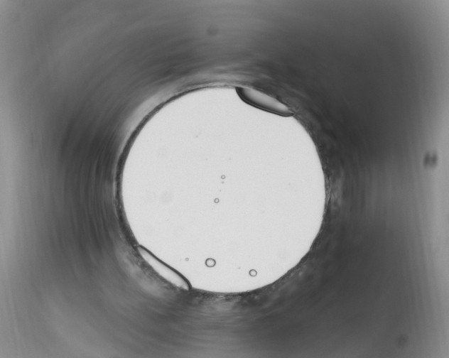 X0000112500148200909281206