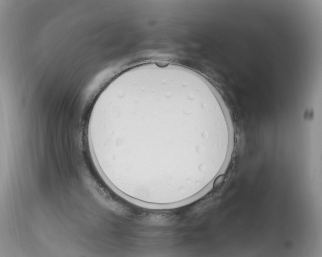 X0000112500149200909281206